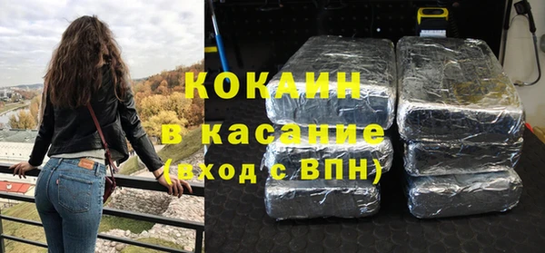 крисы Абаза