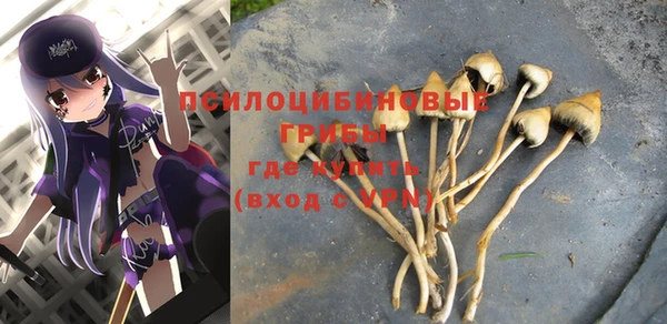 MESCALINE Магадан