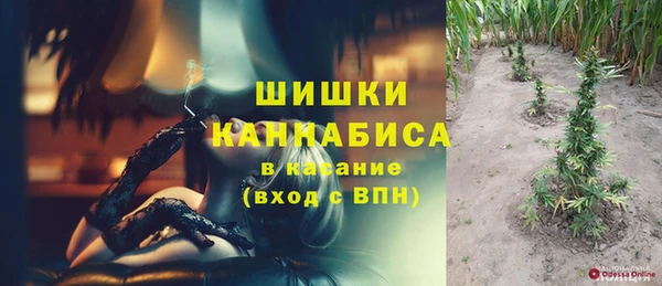 крисы Абаза
